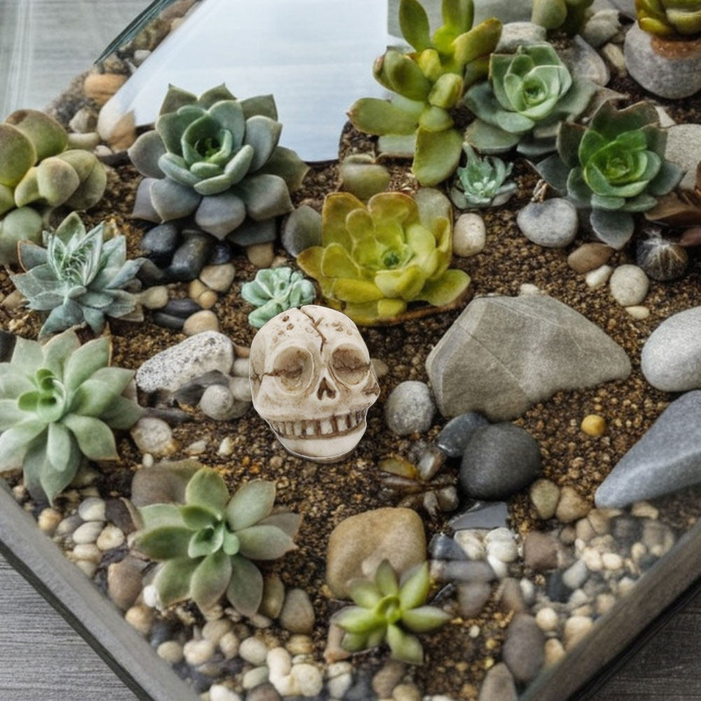 20 ชิ้น รูปปั้นหัวกะโหลกยิ้มทำ - Aquarium Decor บทวิจารณ์และราคา