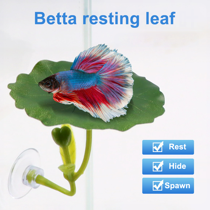 (Ce14)1/5PC ต้นไม้ใบเขียวสำหรั - Aquarium Fish Betta บทวิจารณ์และราคา