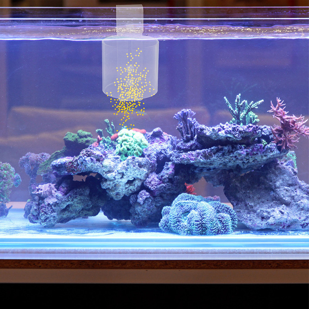 วงแหวนอะคริลิกสำหรับใส่อาหารปล - Aquarium Fish Keeping บทวิจารณ์และราคา