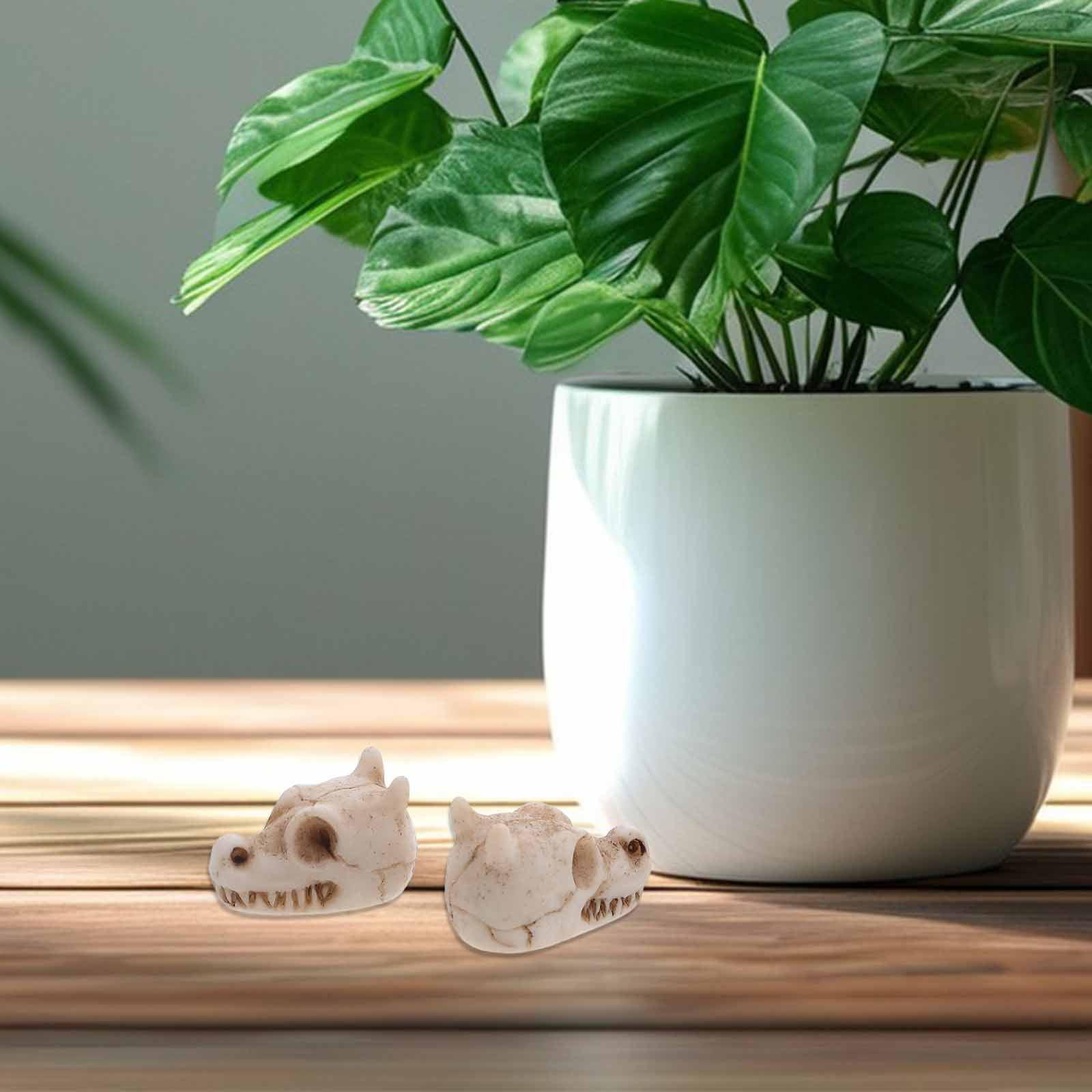 20 ชิ้น หัวกะโหลกมังกรจิ๋ว ทำจ - Aquarium Decor บทวิจารณ์และราคา
