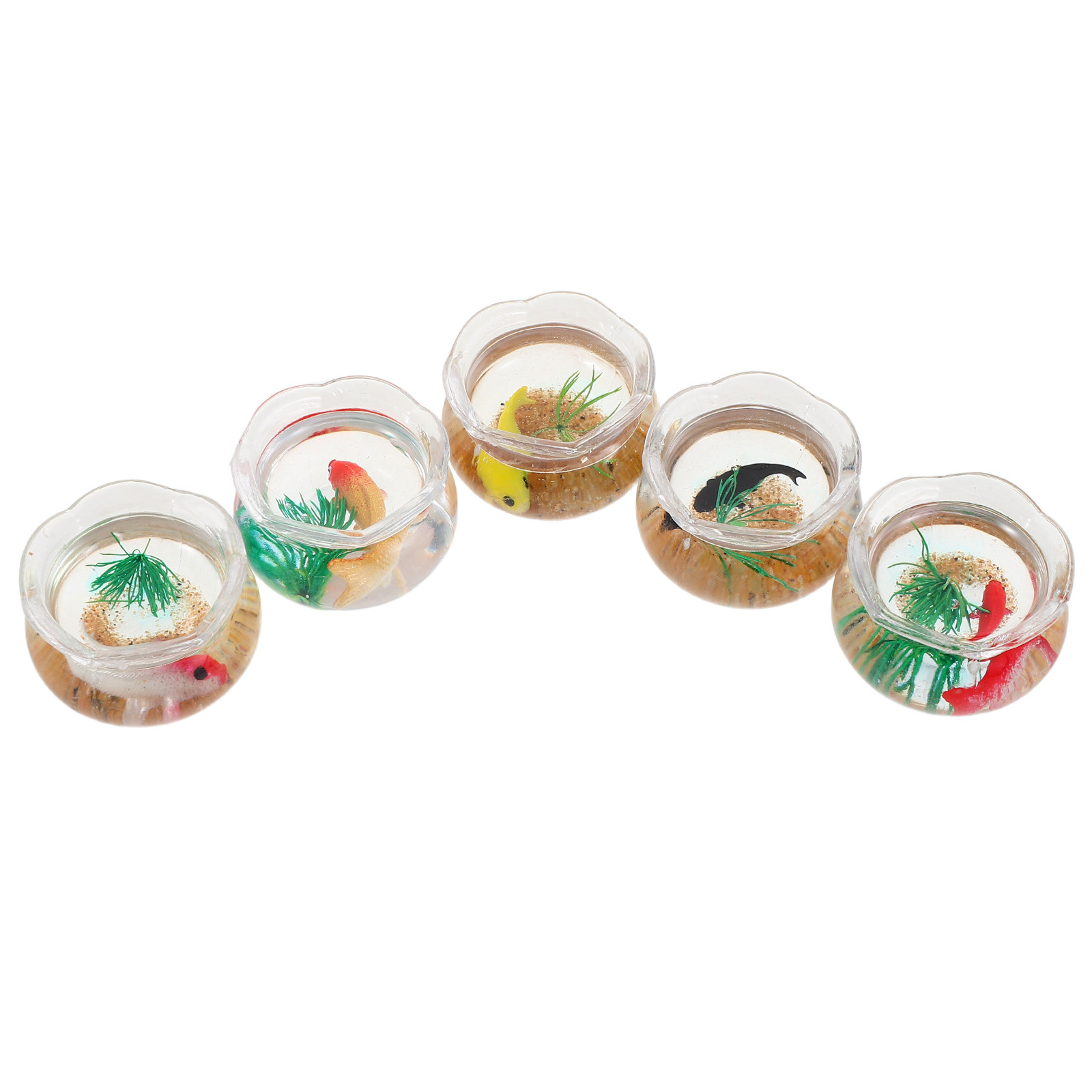 ชุดตู้ปลาคาร์ปจิ๋ว 5 ชิ้น: ตู้ - Aquarium Plants บทวิจารณ์และราคา