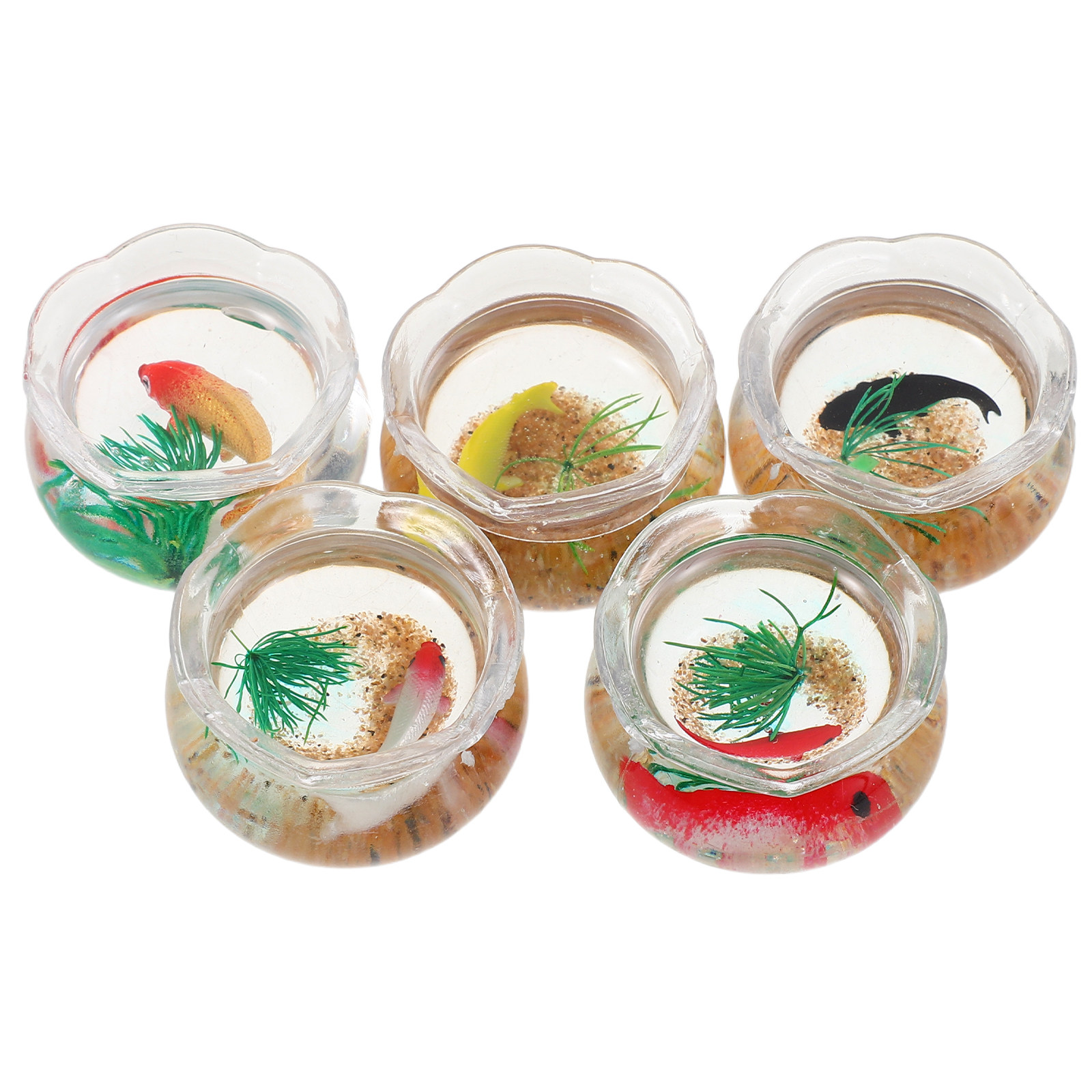 ชุดตู้ปลาคาร์ปจิ๋ว 5 ชิ้น: ตู้ - Aquarium Plants บทวิจารณ์และราคา