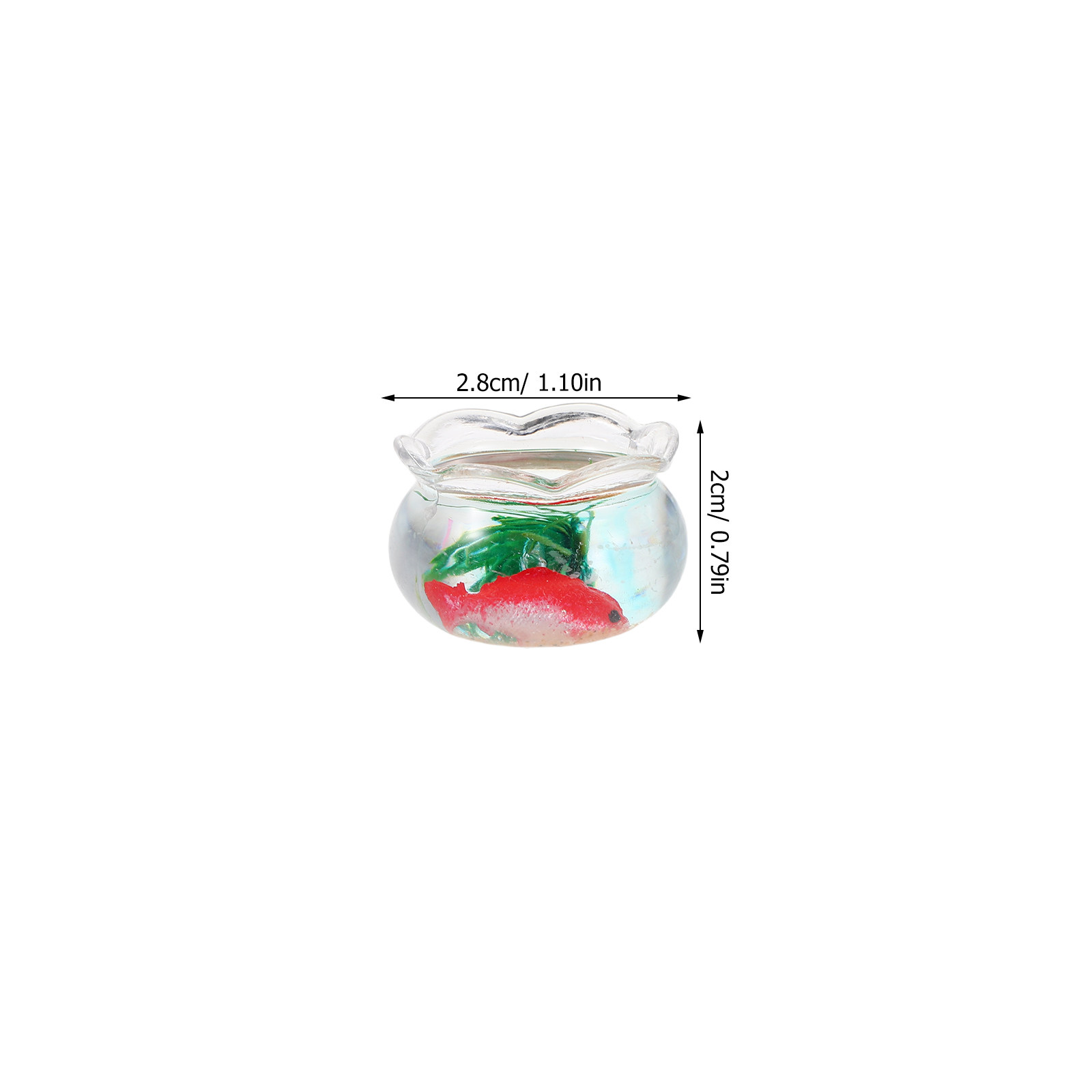 ชุดตู้ปลาคาร์ปจิ๋ว 5 ชิ้น: ตู้ - Aquarium Plants บทวิจารณ์และราคา